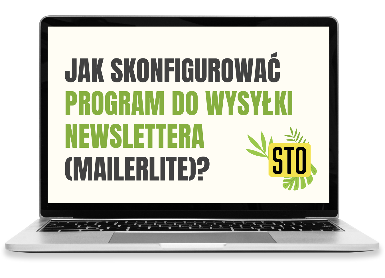 program-do-newslettera