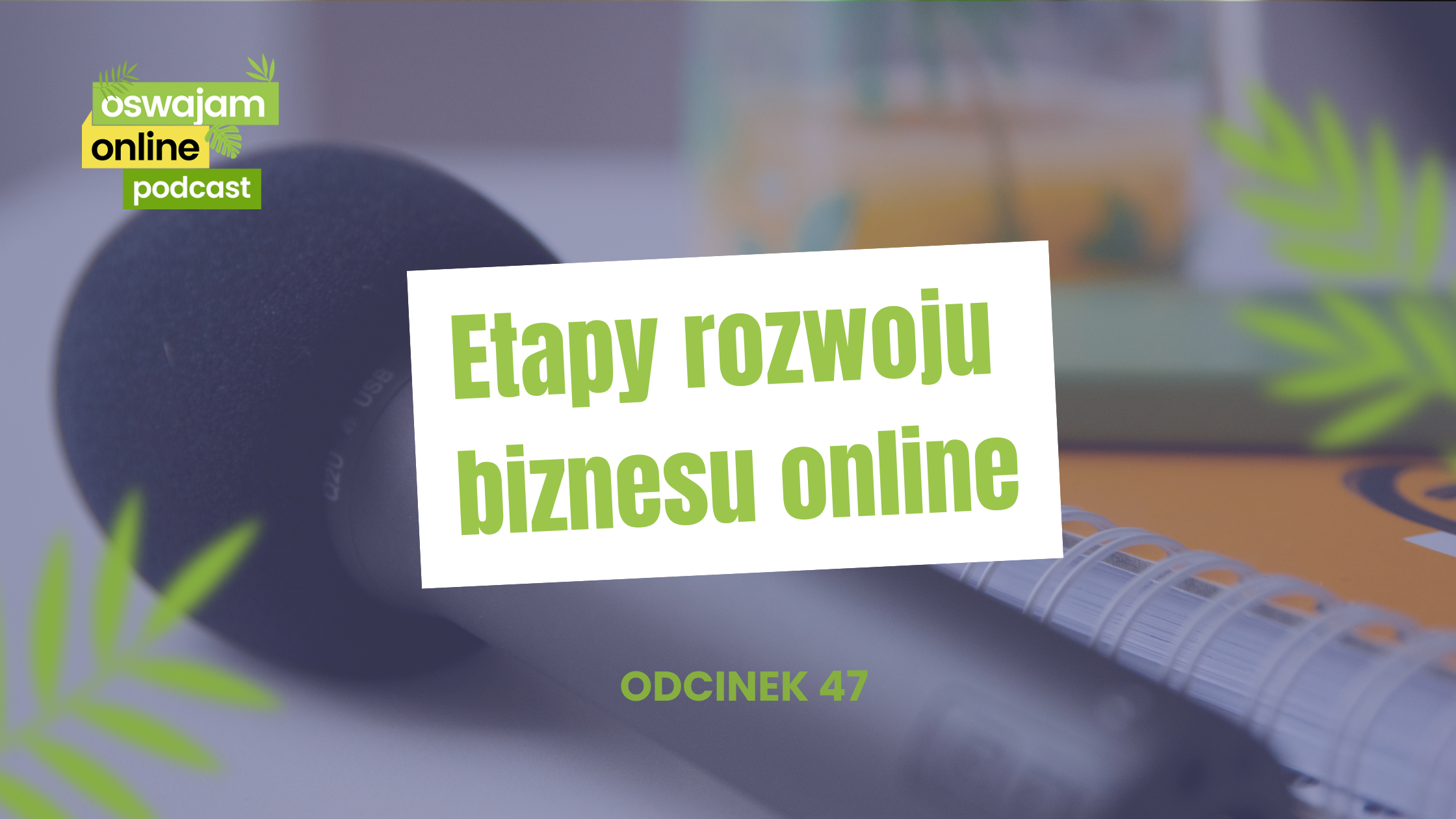 podcast 47 Etapy rozwoju biznesu online