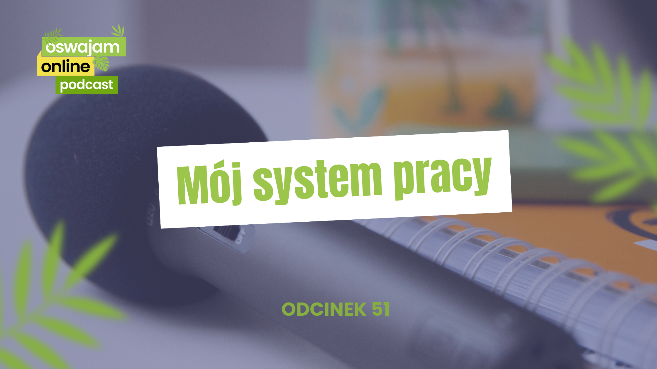 moj-system-pracy