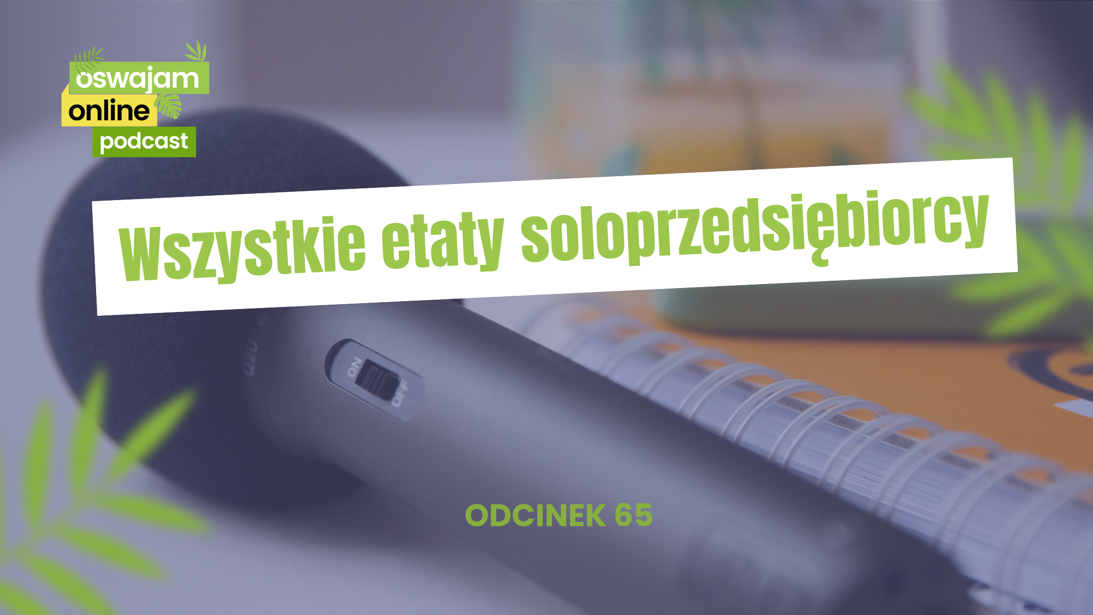 Ile masz etatów w swojej jednoosobowej działalności gospodarczej?